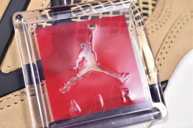Air Jordan Mushroom AQ9129-200 4 0516
